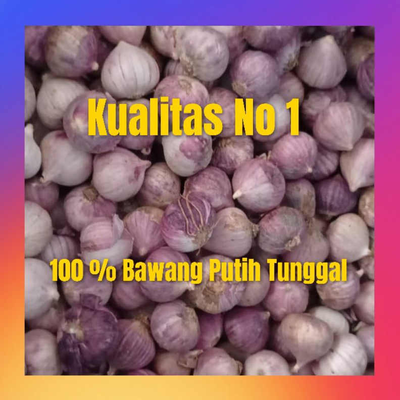 

Terbaik Bawang putih tunggal 1 kg tresno bawang