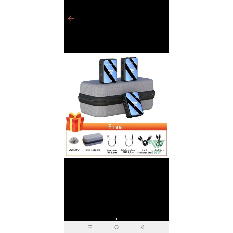 TNW N11 MIC WIRELESS dual