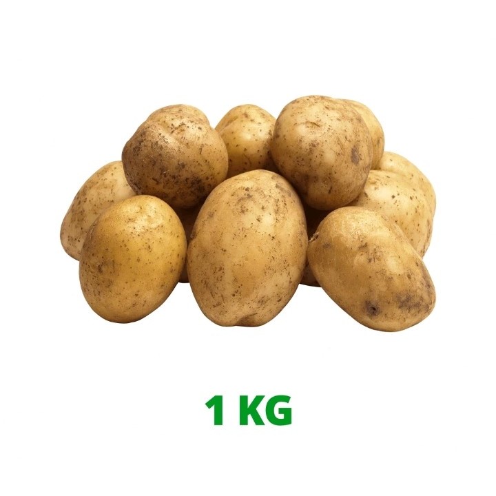 

KENTANG