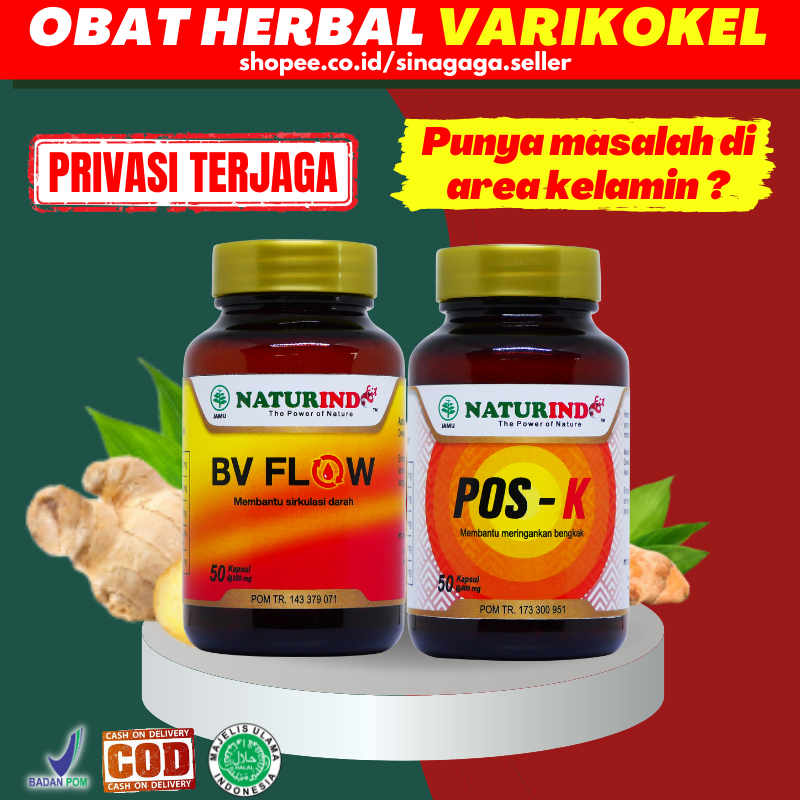 Obat Herbal Varikokel Verikokel Hernia Turun Berok Hidrokel Epididimitis Radang Kelamin Penghilang B