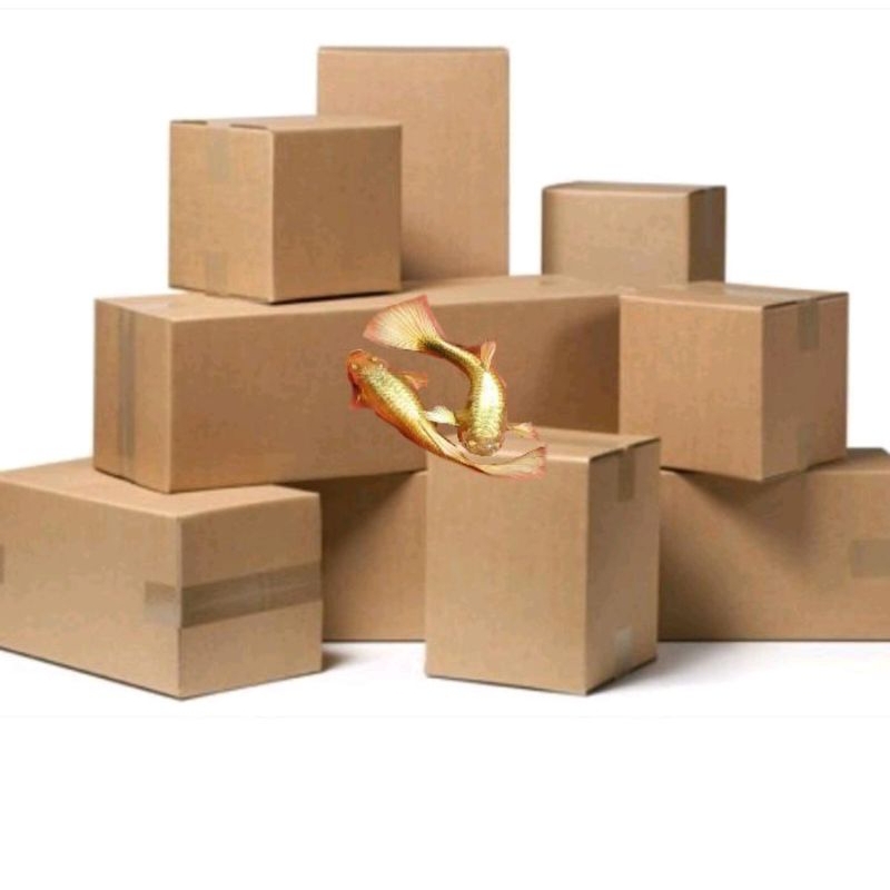 

Box gambar F Gold Vietnam