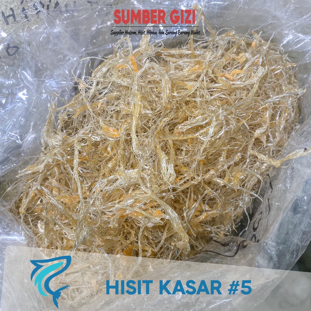 

Hisit Kering Kasar Sirip Ikan Hiu Kasar 5 Grade B/ Huchi/ Hu Chi/ Hechi/ He Chi/ Sirip Kering