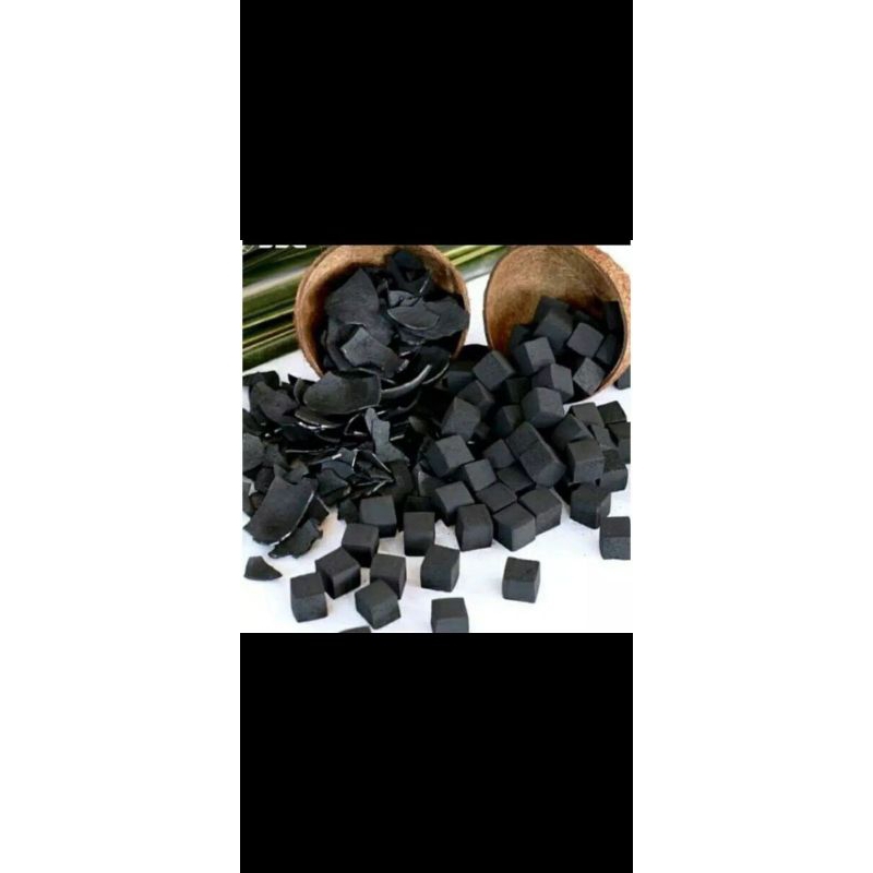 briket areng batok kelapa 100%
