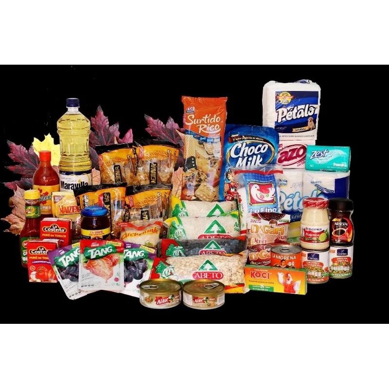 

Paket Reseller Large