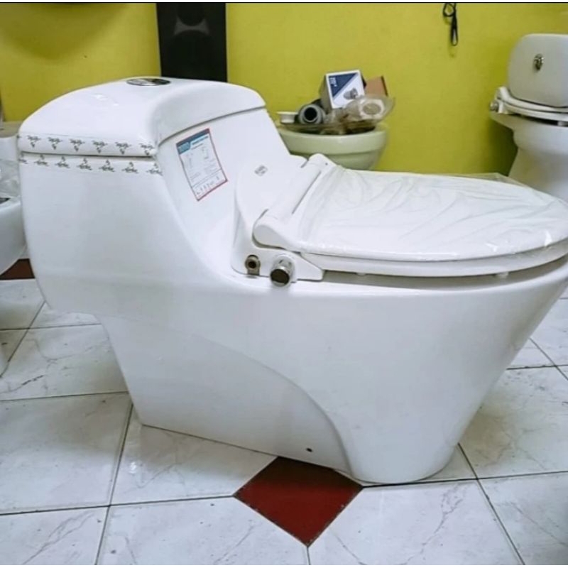 closet duduk Toto cw823+ecowaser