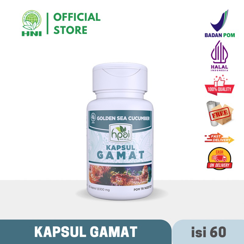 HNI HPAI | Kapsul Gamat