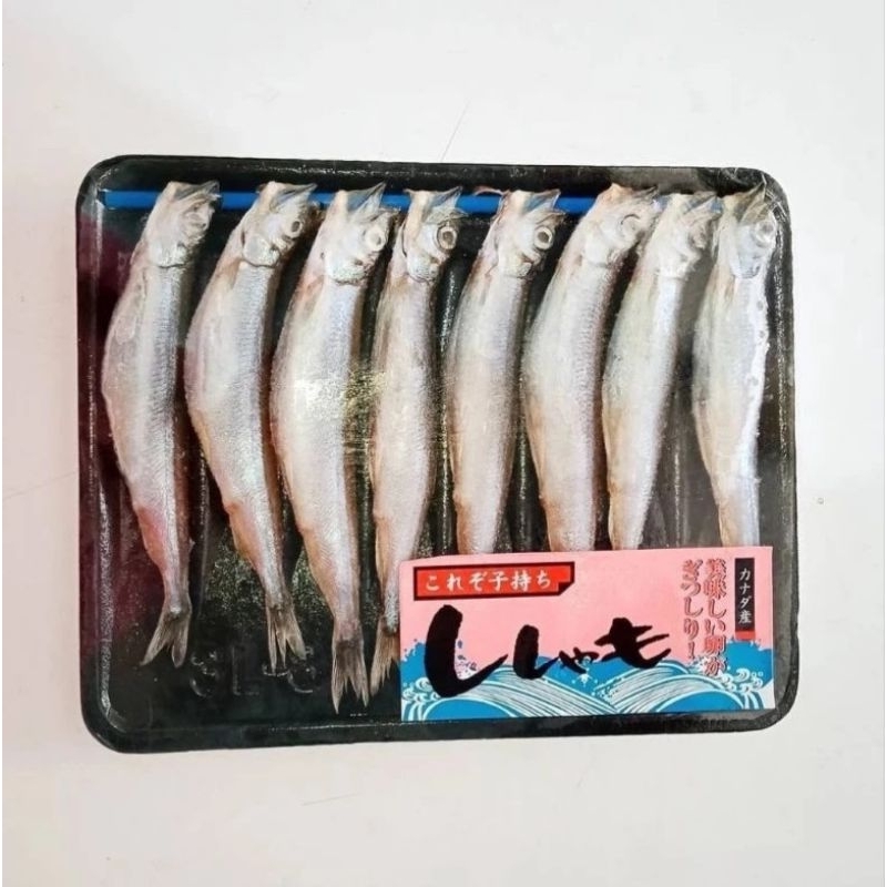 

Ikan Shisamo Capelin / Isi Telur