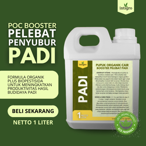 Pupuk Padi Sawah Terbaik / Pupuk Pelebat Buah Padi / Pupuk Tanaman Padi Pupuk Pelebat padi / Pupuk P