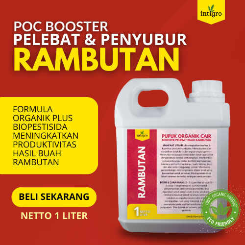 Pupuk Rambutan Cepat Berbuah / Pupuk Buah Rambutan / Pupuk Pohon Rambutan / Pupuk Organik Cair Tanam