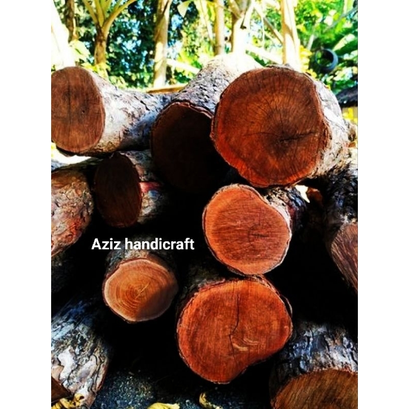 BAHAN KAYU STIGI LAUT 1KG GRAM