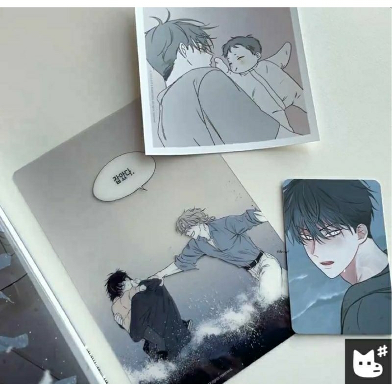[BOOKED] Photocard &amp; Illustration Picture Low Tide In Twilight Official