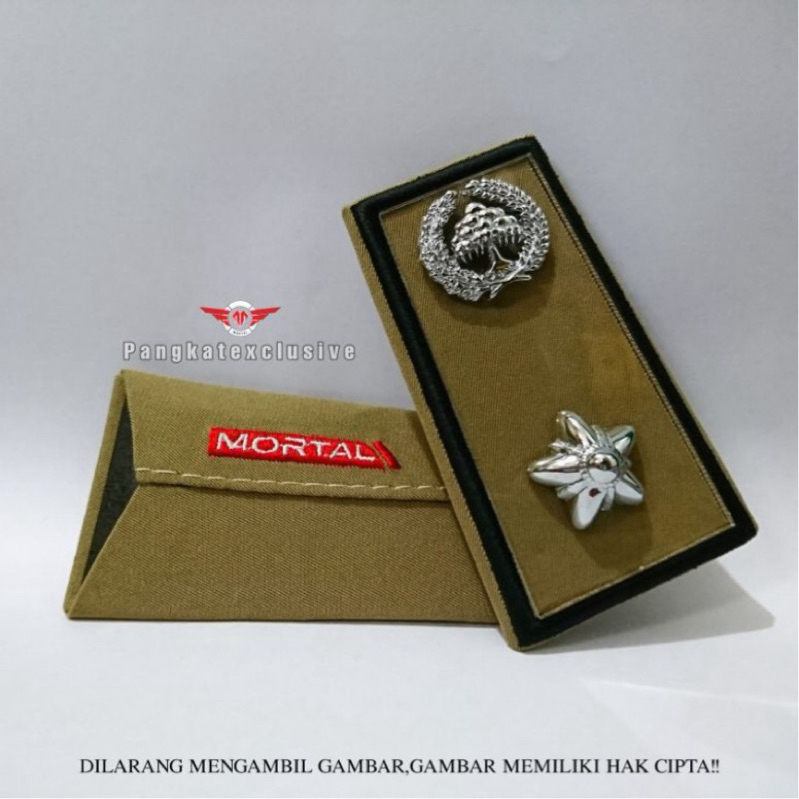 PANGKAT ASN LAMPUNG 3A MIKA