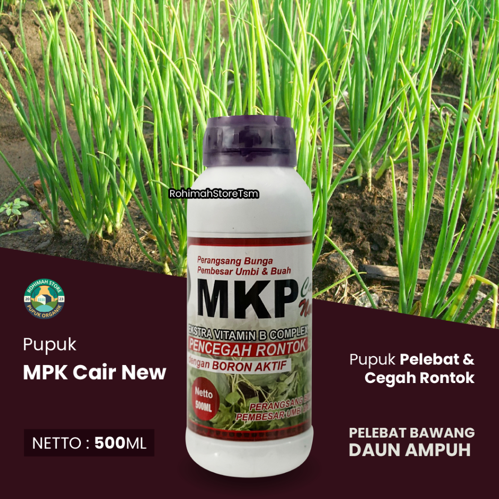(PENYUBUR BAWANG DAUN) NEW MKP CAIR Pelebat Penyubur Tanaman Bawang Daun, Pupuk Penyubur Daun Bawang