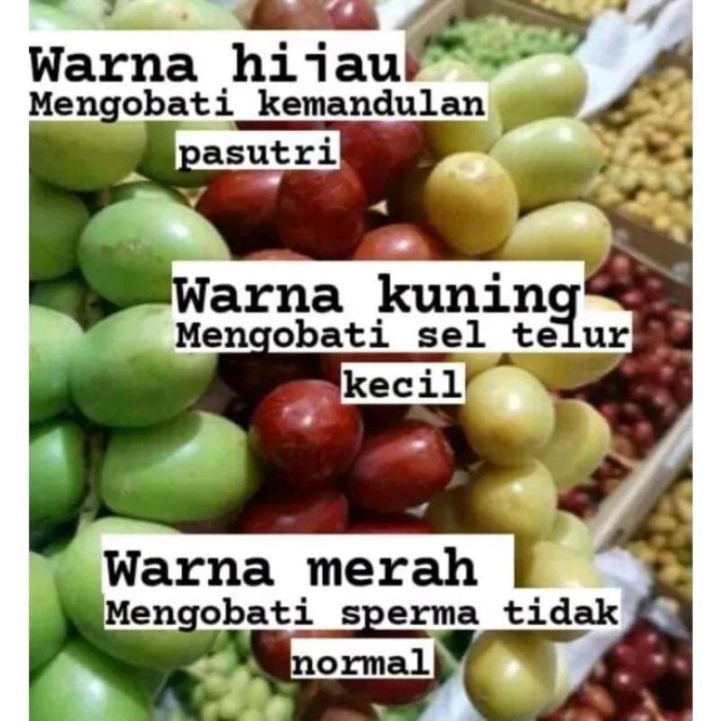 

KURMA MUDA MERAH KUNING HIJAU/ KURMA MUDA UNTUK PROMIL