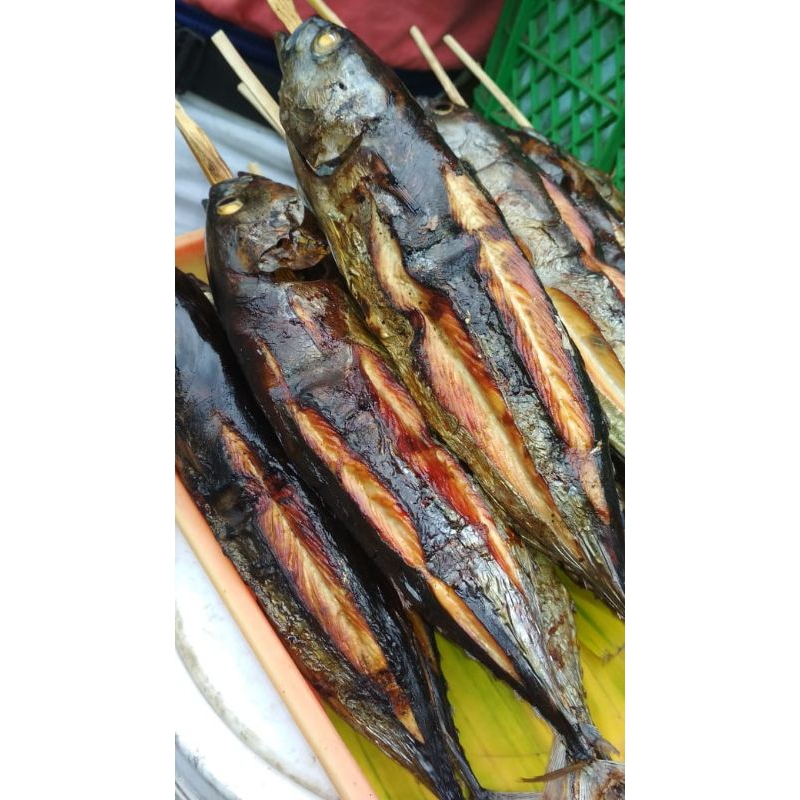 

IKAN CAKALANG BAKAR/ASAP FRESH berat 300g-350g/pcs,