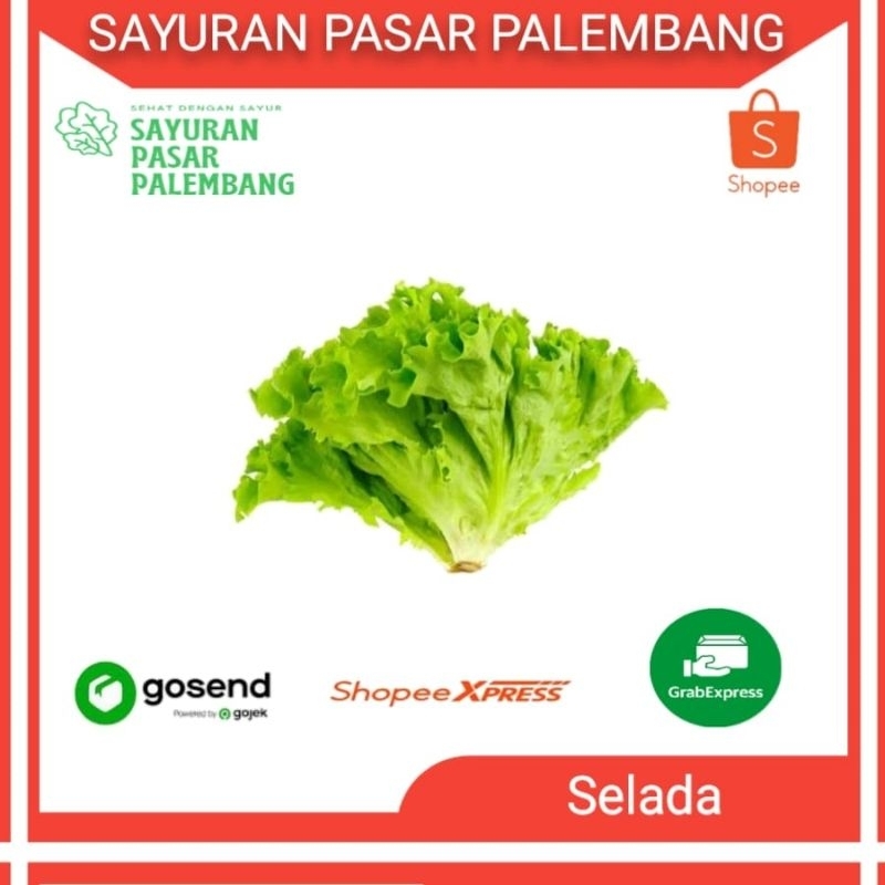 

Selada Keriting - Sayuran Pasar Palembang