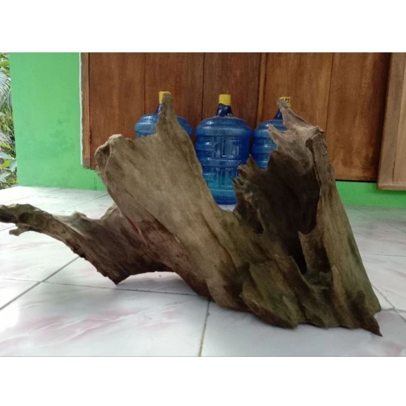 kayu rentek cocok untuk aquascape