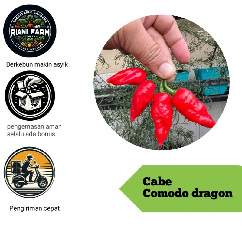 

Cabe Comodo Dragon