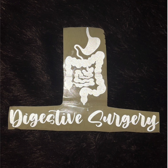 

Stiker Digestive Surgery ( Untuk Dokter , Dokter Spesialis , Sp.B-KBD , Subspesialis , PPDS , Program Pendidikan Dokter Spesialis , Mahasiswa Kedokteran FK , Kesehatan MD )