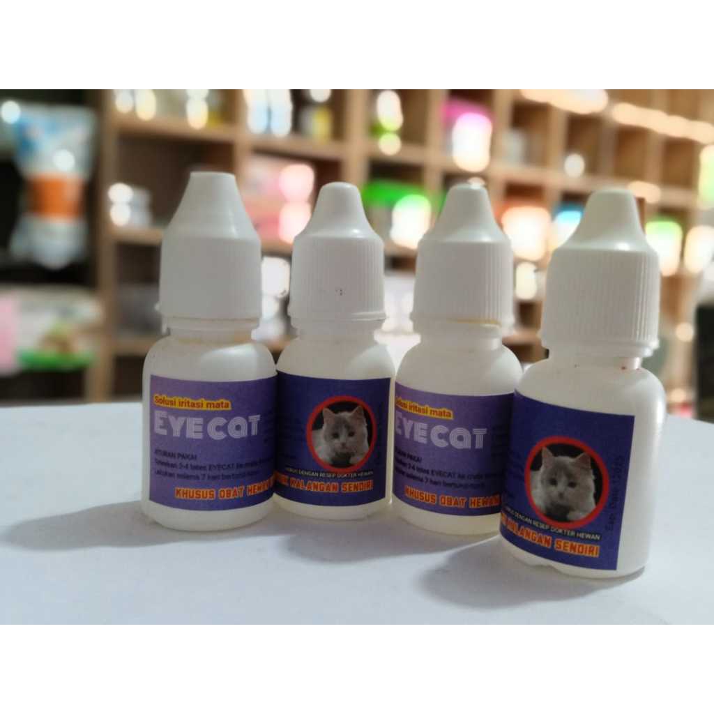 Tetes Mata Kucing