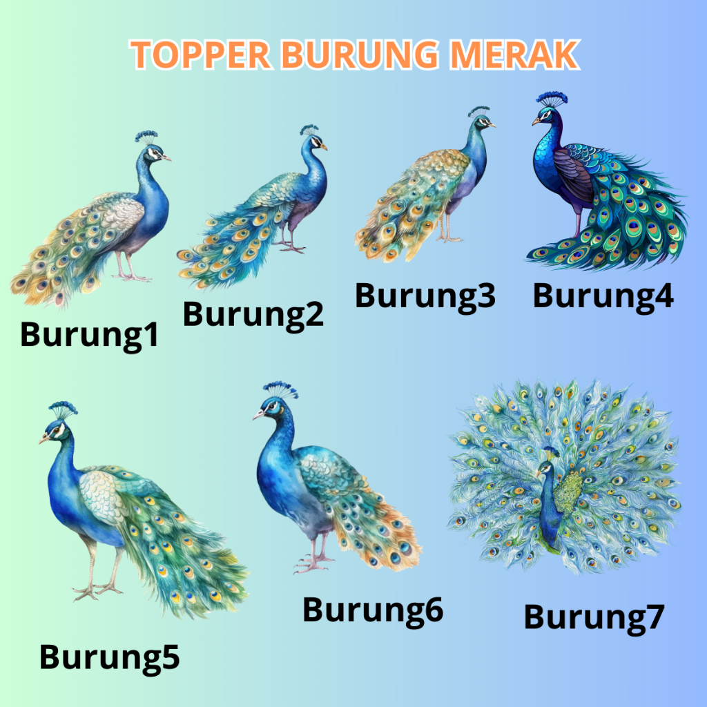 TOPPER BURUNG MERAK/HIASAN SESERAHAN PERNIKAHAN/HIASAN BUKET