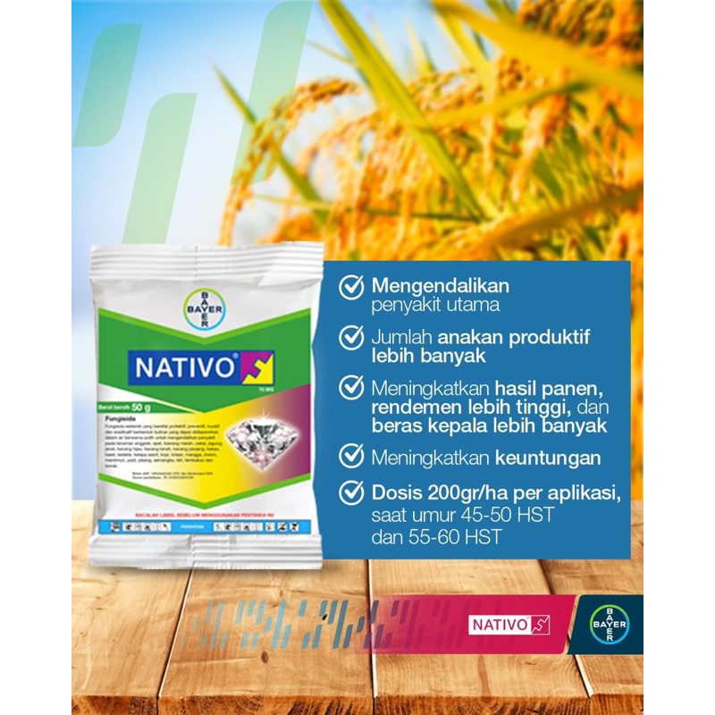 Nativo 75WG 50gr original Bayer Repack