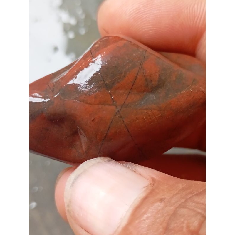 rough batu jesper tapak jalak srigunting