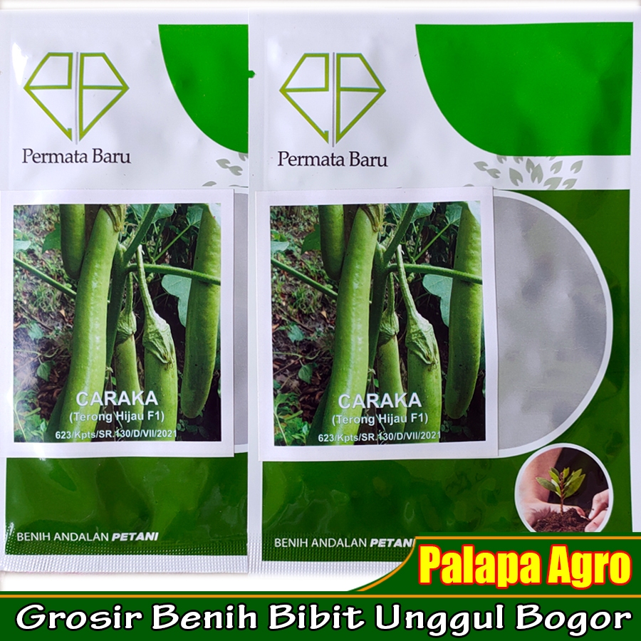 Benih Terong Hijau CARAKA F1 | Bibit Terong Hijau Unggul