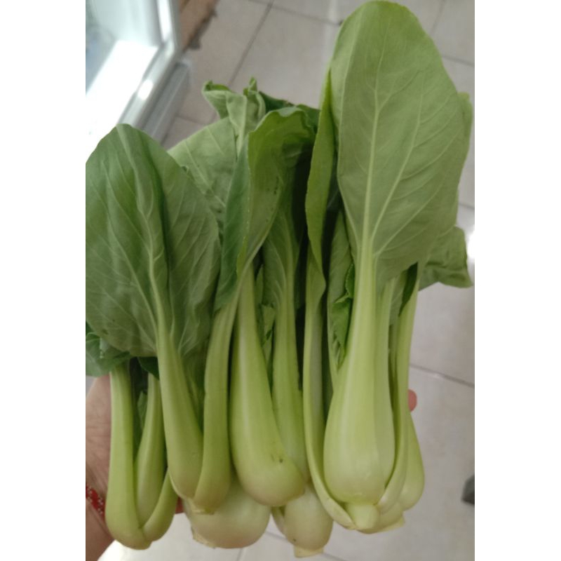 

Pakcoy bandung 250gr