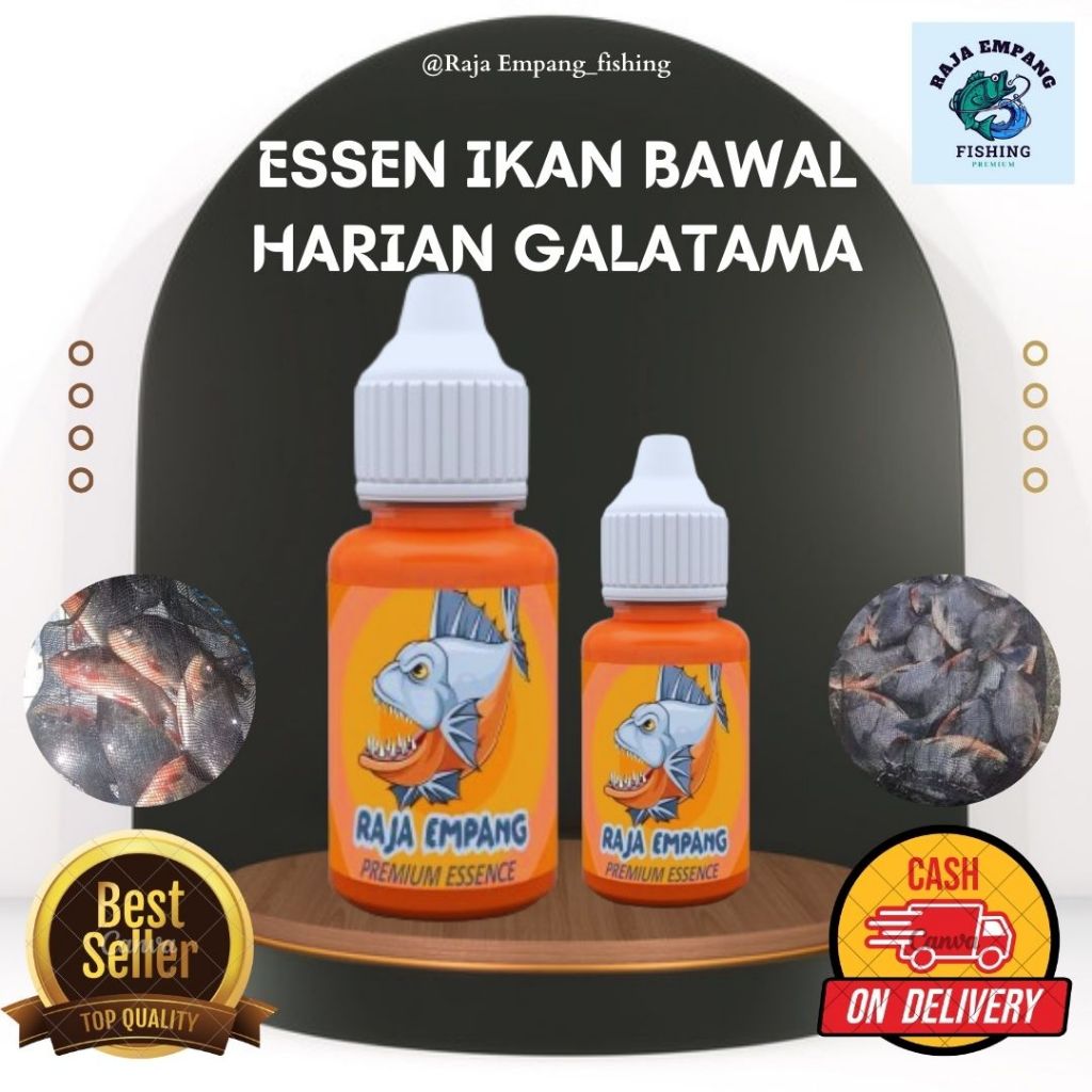 Essen Ikan Bawal Galatama Babon, Esen Kusus Ikan Bawal Harian