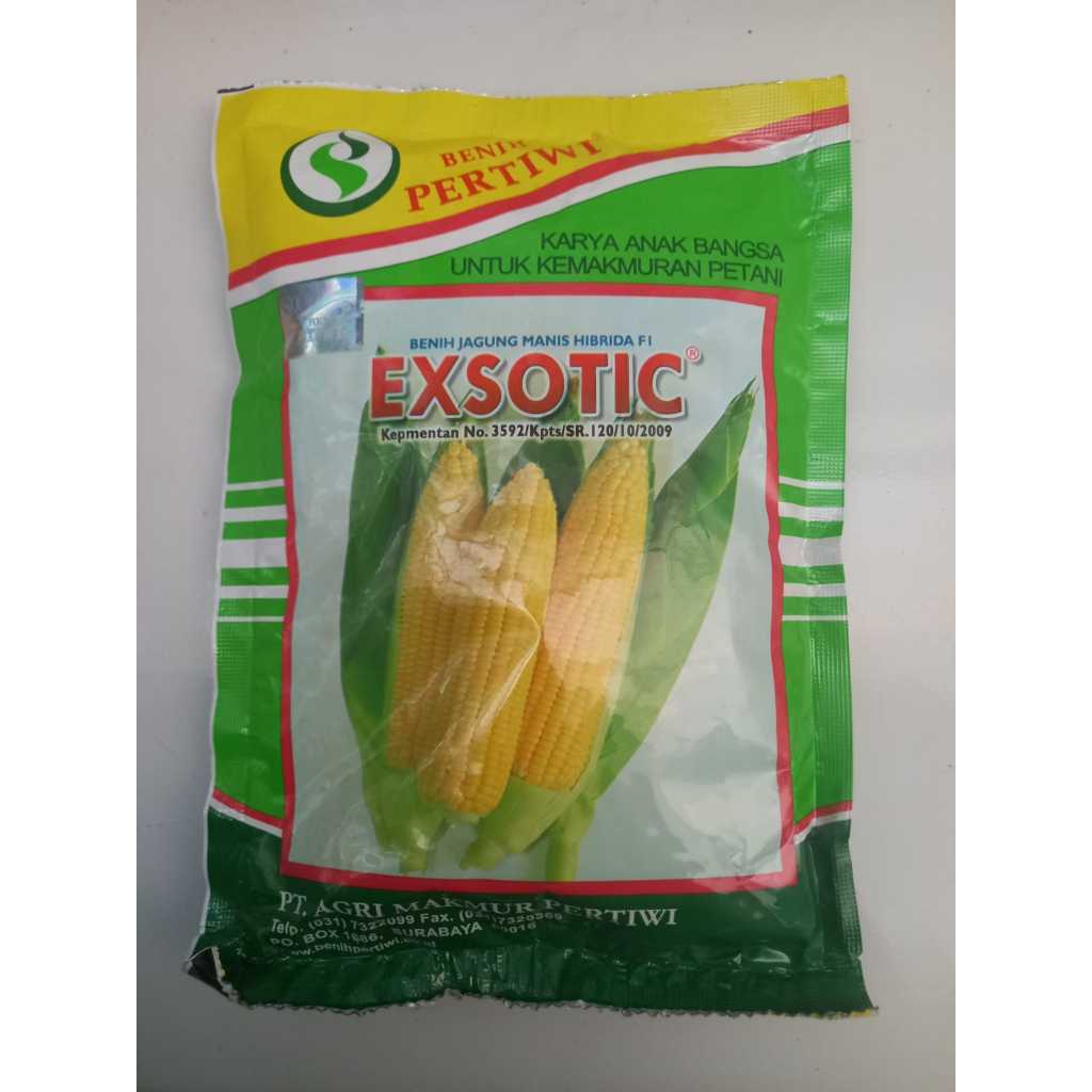 Benih jagung manis Exotic