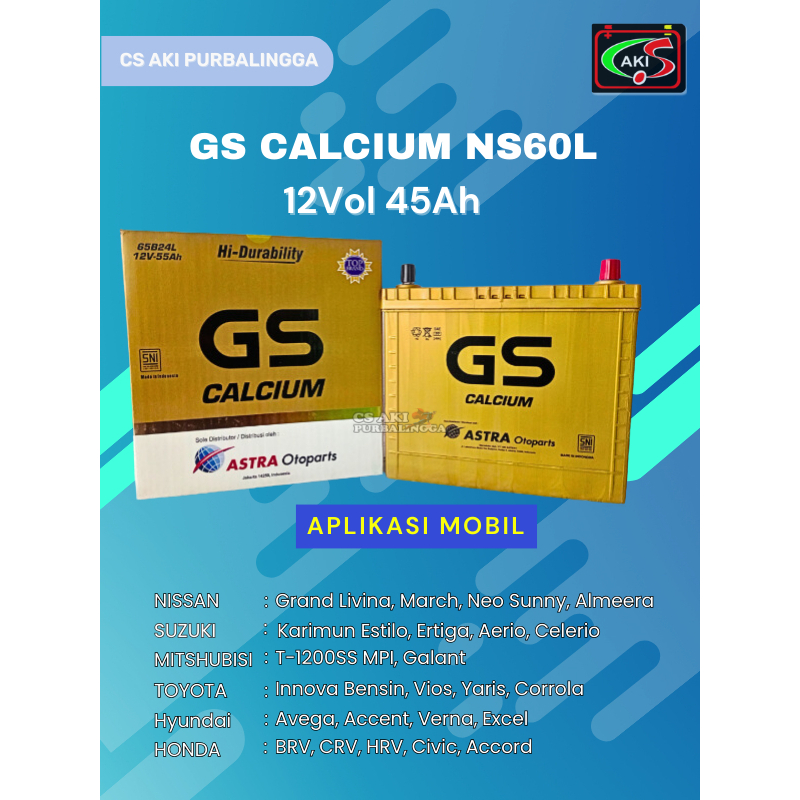 GS Calcium NS60L