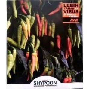 ( 10 Biji ) Benih Cabe Rawit Shypoon Hibrida F1