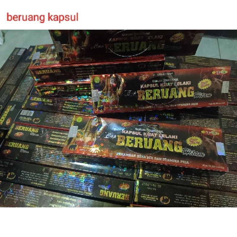 beruang hitam kapsul