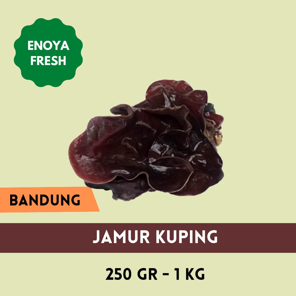 

Jamur Kuping 250 gr - 1 kg Bandung