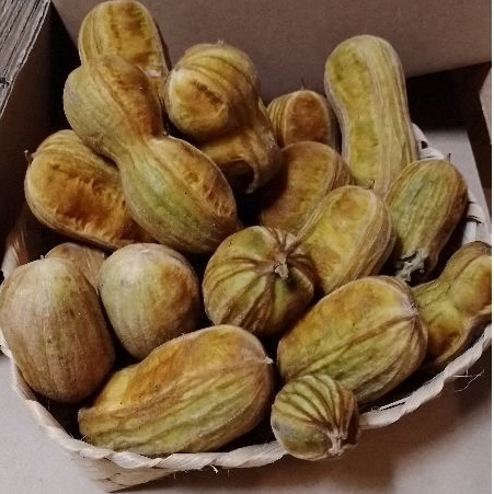 

Instan - BUAH SALJU GEMOY/ICE CREAM BEAN #INSTAN 3JAM SAMPAI