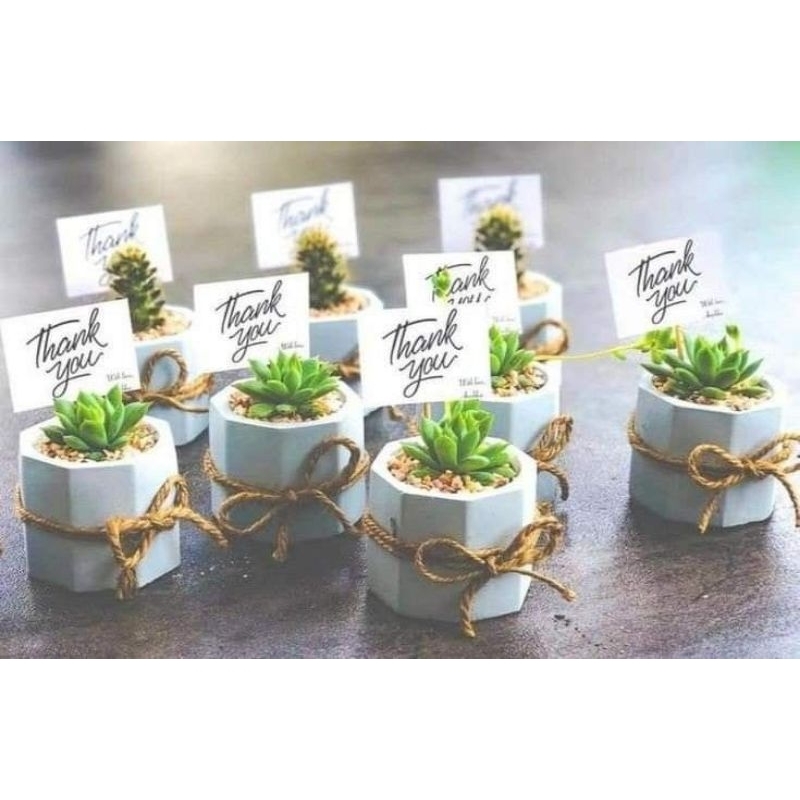 Souvenir /souvenir Pernikahan Mini Sukulen
