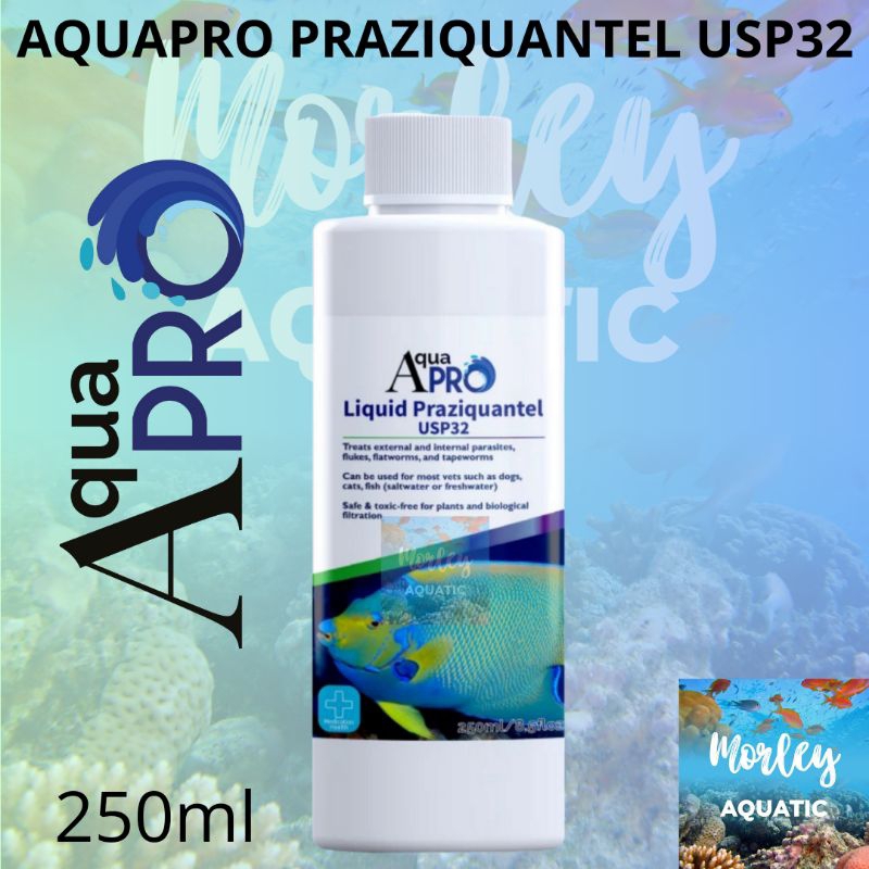 AQUAPRO LIQUID PRAZIQUANTEL USP32 250ML