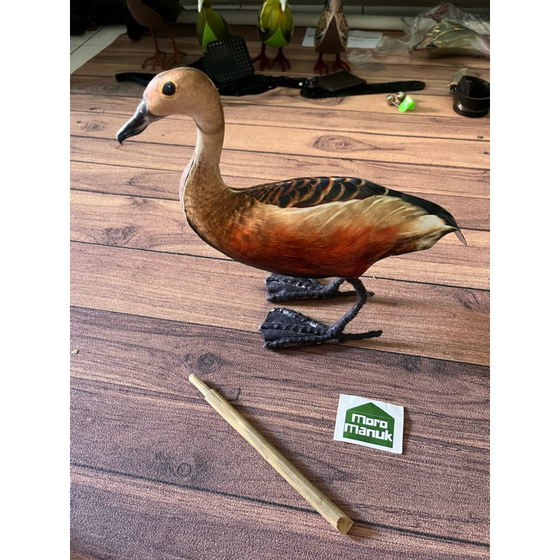 Jontrot belibis Kembang - Patung Burung Belibis - Alat Pikat burung Belibis Kembang