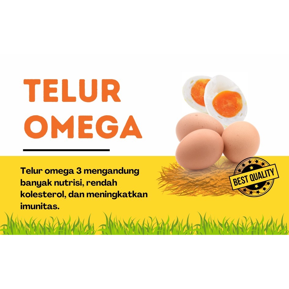 

Telur Omega 3