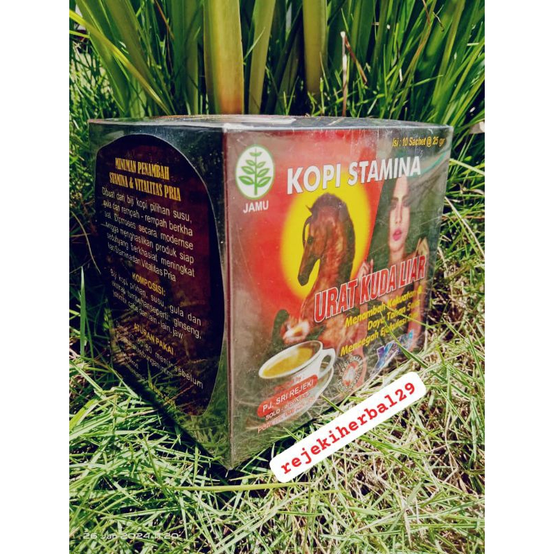 Urat Kuda Liar Kopi Original