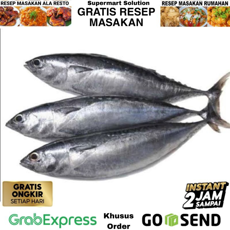 

Ikan Tongkol kecil / Baby tuna