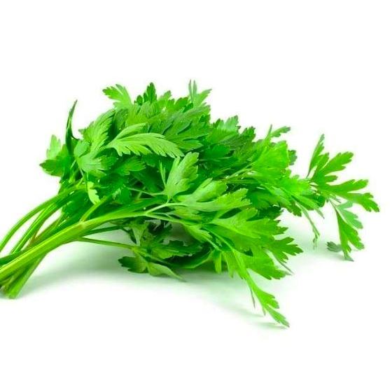 

Daun seledri / Sayur daun seledri