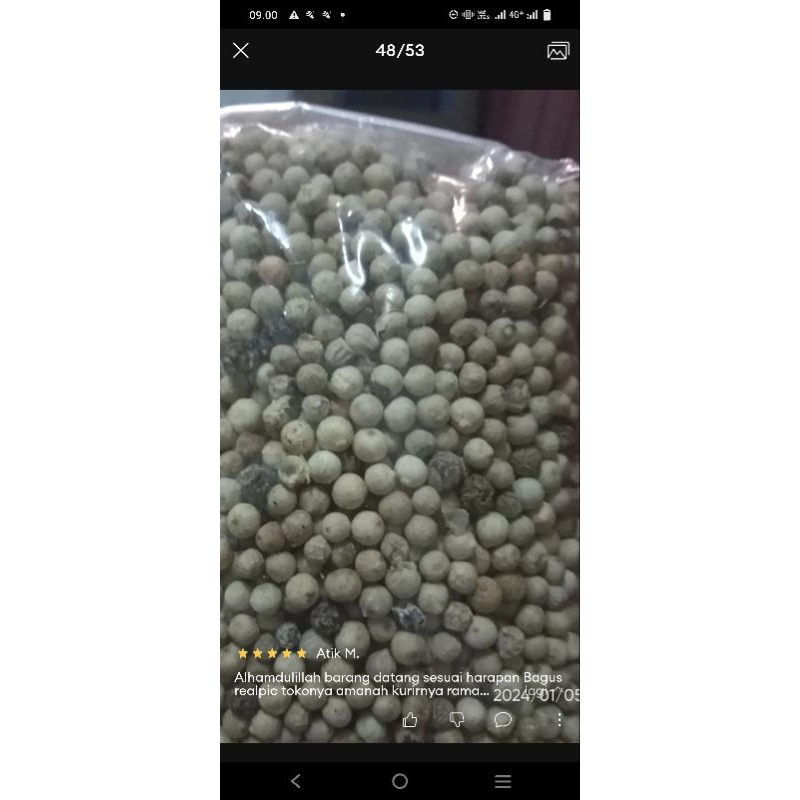 

ladaputih/mericabulatkualitassuperkemasan250gram/1/4kg