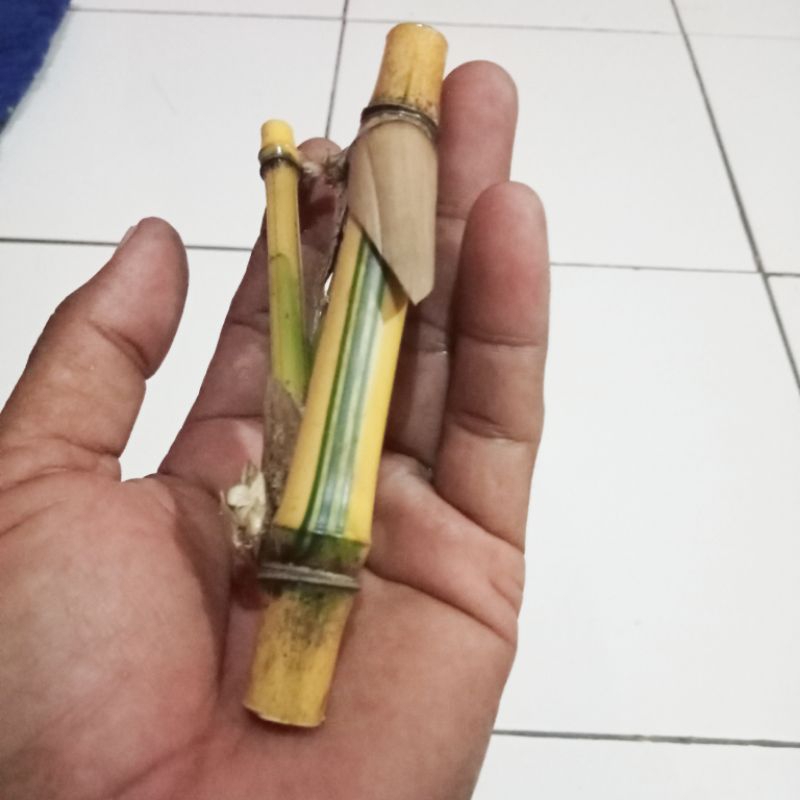 mustika bambu petuk Pring kuning temu ruas (asli alami panjang 20cm)