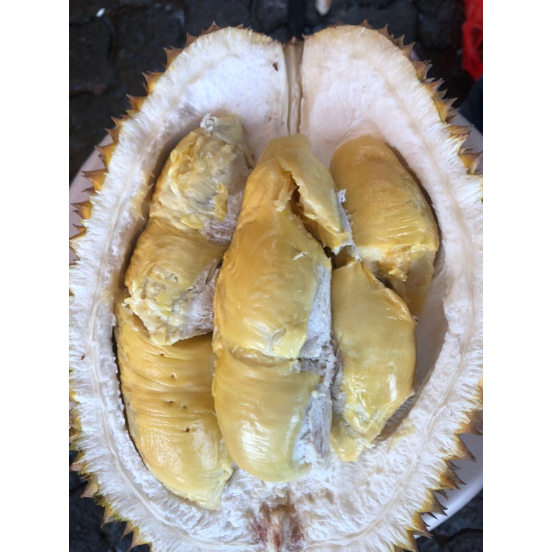 

durian