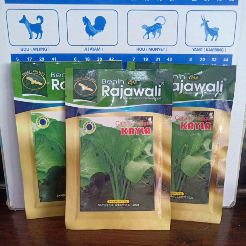 Sawi Manis | Bibit Sawi unggul |Sawi Kayla Rajawali|