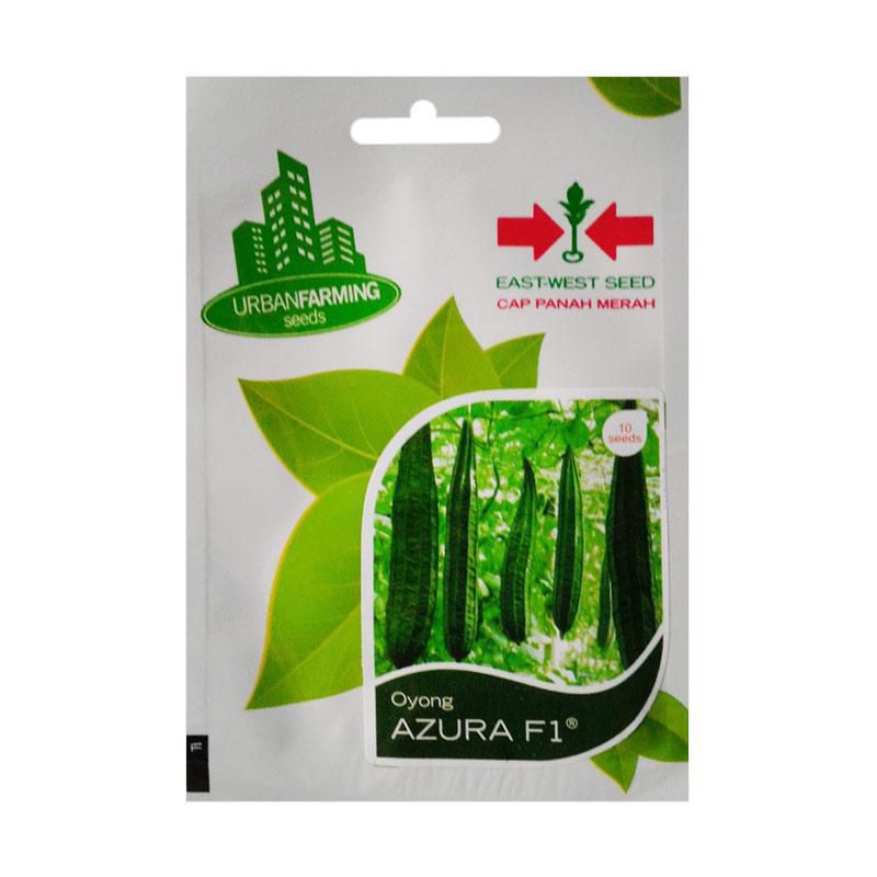 Benih Bibit Oyong Azura F1 cap Panah Merah - OYONG AZURA F1