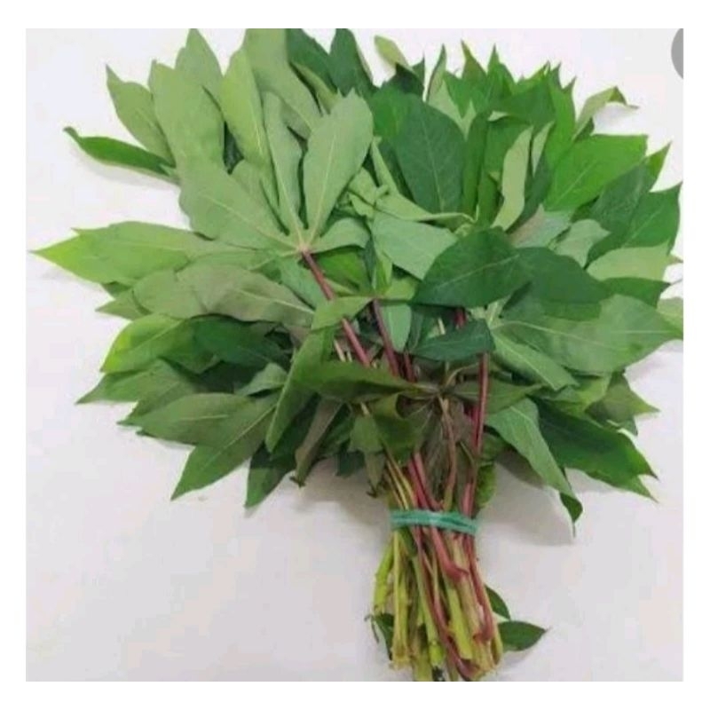 

SAYUR DAUN SINGKONG PER IKAT / JAMIN SEGAR