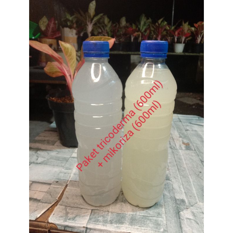 paket tricoderma+ mikoriza